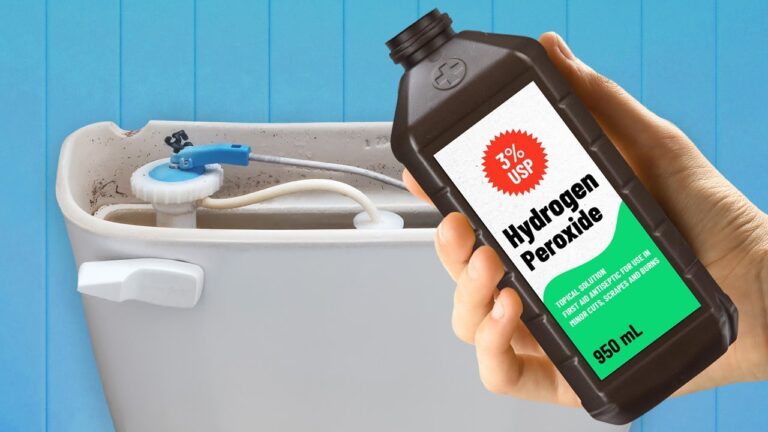 Non crederai mai a cosa succede… con un po’ di perossido nel WC!