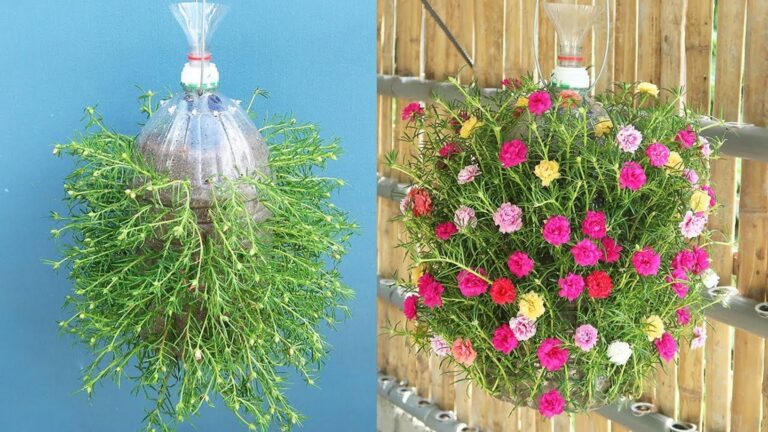 Questo metodo geniale trasforma le bottiglie di plastica in un giardino sospeso automatico…