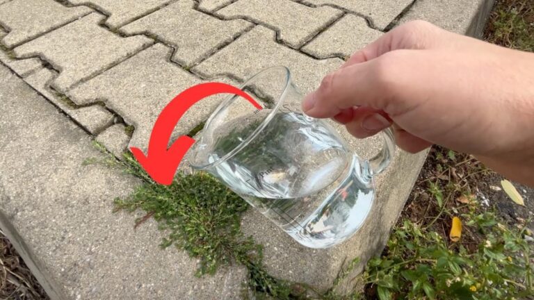 Questo semplice gesto con l’aglio ti sorprenderà… scopri i benefici notturni!