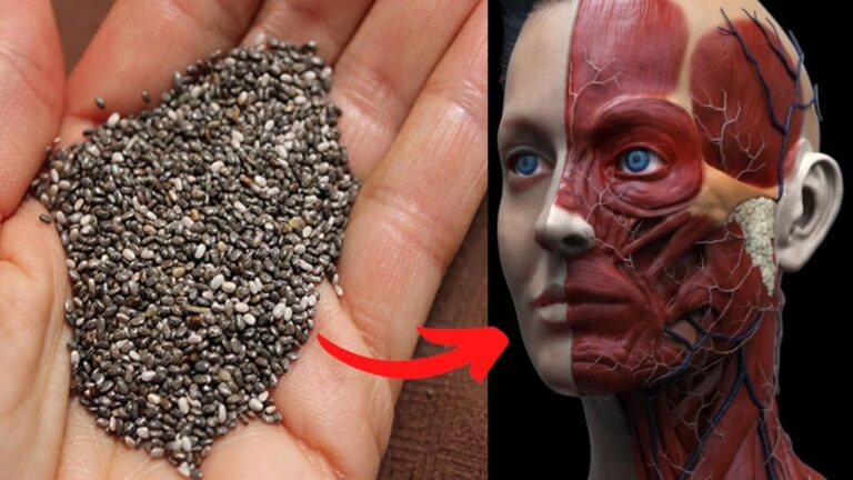 Molti ignorano che mangiare semi di chia ogni giorno trasforma la tua salute…