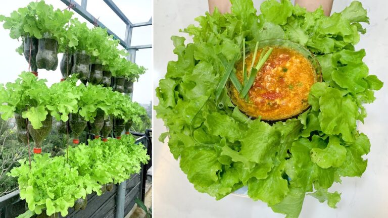 8 idee per coltivare verdure rigogliose sul terrazzo senza giardino!