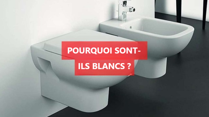 Perché i WC sono sempre bianchi? Scopri il motivo che non ti aspetti