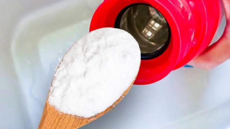 Addio ai thermos puzzolenti: elimina l’odore del caffè con questo rimedio efficace