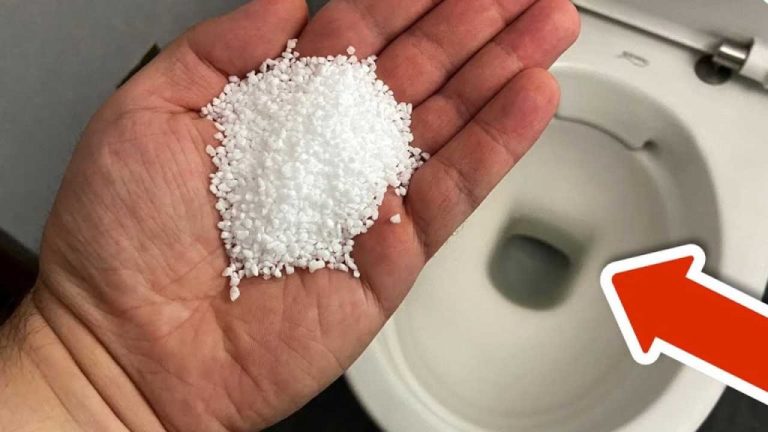 Bagno sempre pulito e mai intasato: il segreto dei idraulici