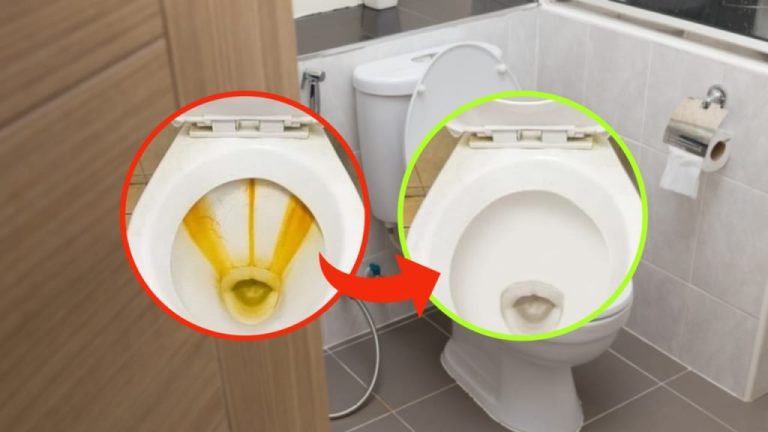 Il trucco per rimuovere le macchie di calcare dal water in modo facile