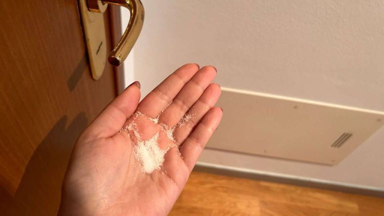 Il trucco per affrontare l’inverno e gestire il Monte davanti alla tua porta