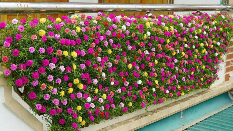 10 Idee Geniali per Trasformare il Tuo Balcone in un Giardino con Bottiglie!
