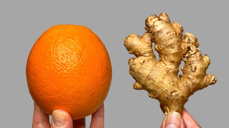 5 semplici modi per purificare reni, fegato e polmoni in modo naturale