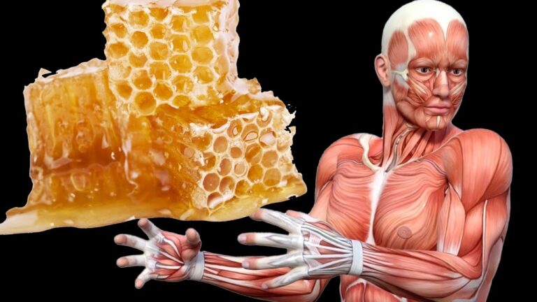 5 sorprendenti benefici del miele per il tuo corpo da scoprire subito!