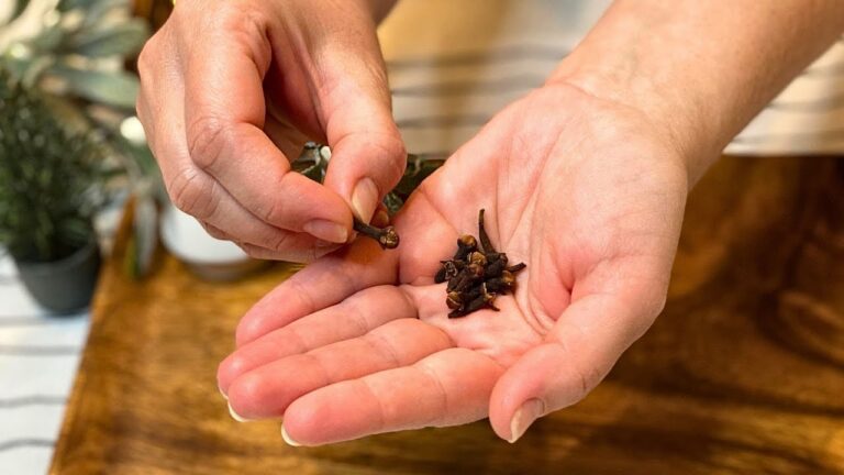Scopri 3 rimedi naturali per liberare i polmoni e fermare la tosse!