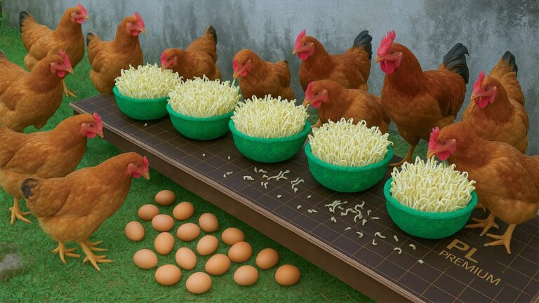 5 Nutrienti Fiori di Soia per Galline: Scopri Come Fare!