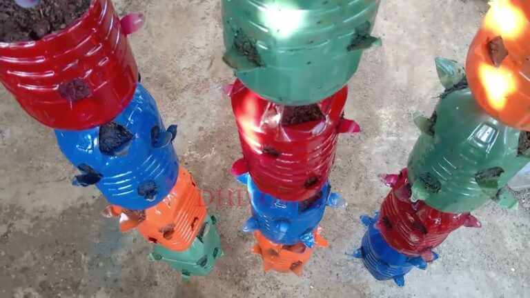 5 idee geniali per coltivare verdure in casa con bottiglie di plastica riciclate!