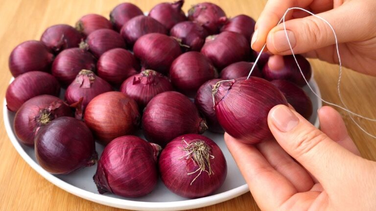 Scopri 5 modi semplici per cucinare con cipolla e ago! Ricette deliziose e insolite
