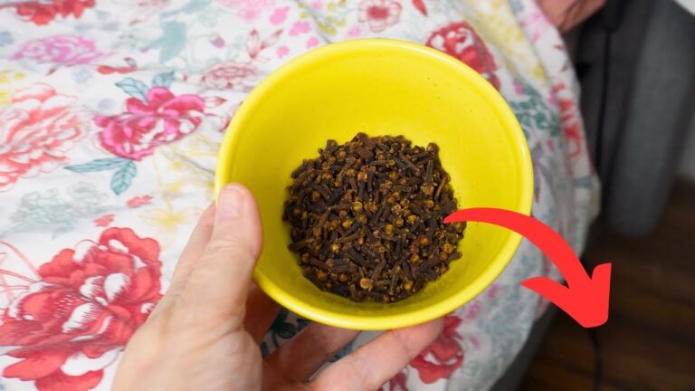 5 motivi per mettere chiodi di garofano sotto il letto e migliorare la tua vita