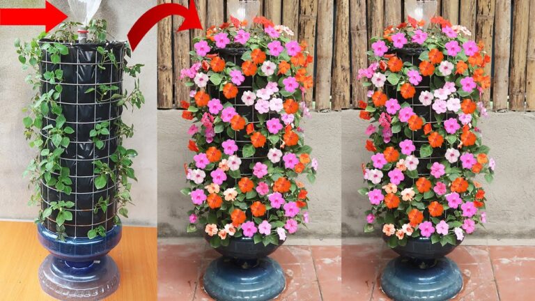 7 Idee Creative per Coltivare Fiori di Giada nel Tuo Giardino