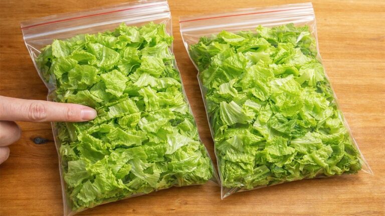 10 trucchi per mantenere la lattuga fresca e croccante per settimane