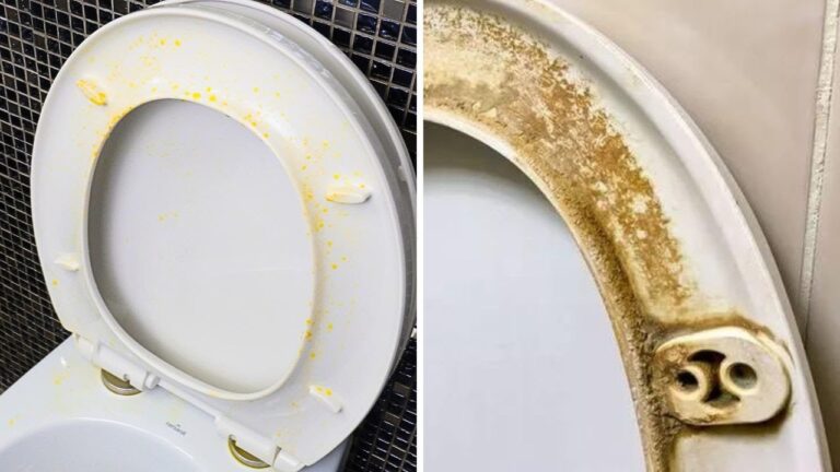 Elimina le macchie gialle dal WC in 10 minuti con questi semplici trucchi!