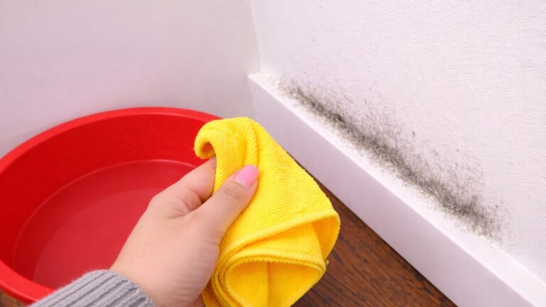 Scopri 1 passo semplice per avere una casa sempre impeccabile!