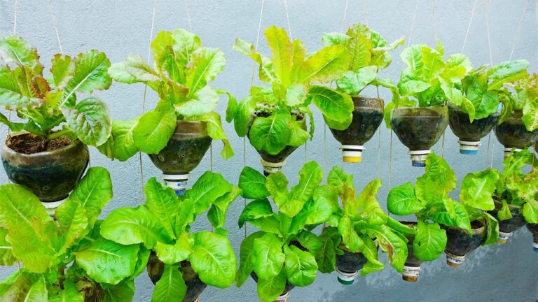 10 idee per un orto verticale con bottiglie di plastica e risparmio di spazio!