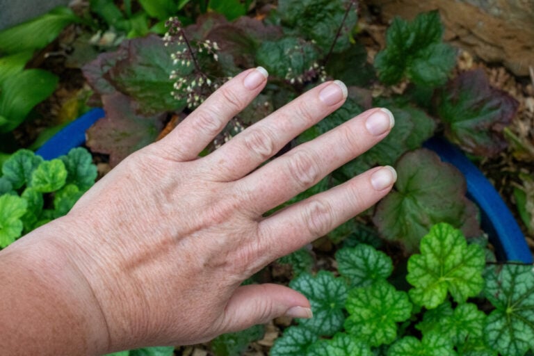 Come curare il giardino senza danneggiare mani e unghie