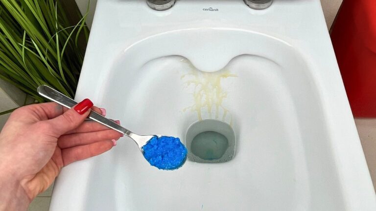 Le addette alle pulizie usano questo trucco per avere un WC impeccabile