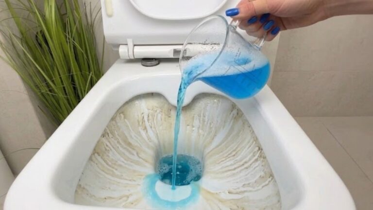 Questo trucco scioglie il calcare nel WC più velocemente di qualsiasi prodotto!